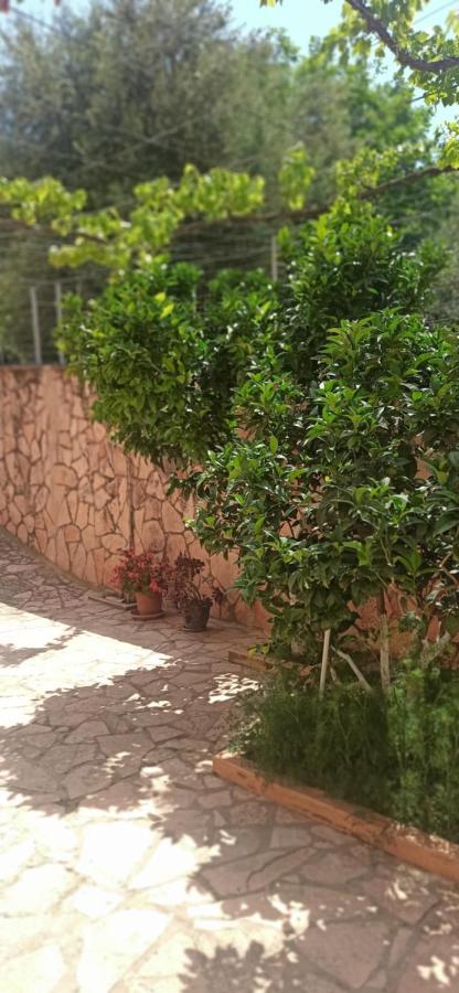 Villa Family Bitri Piqeras Dış mekan fotoğraf